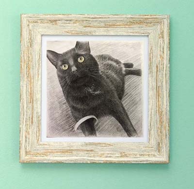 Custom paintings of a black cat