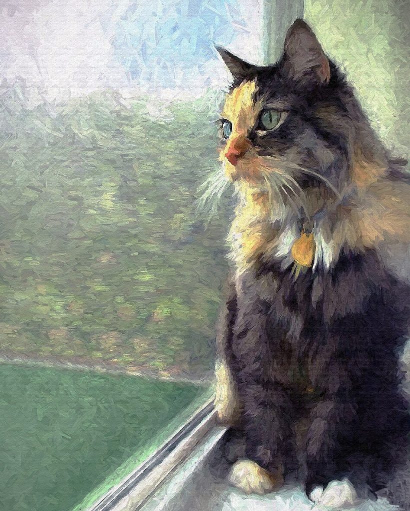 Painting of My Cat